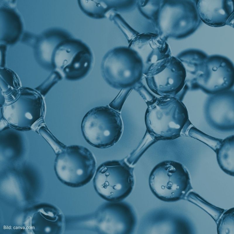 Master Pharmaceutical Sciences