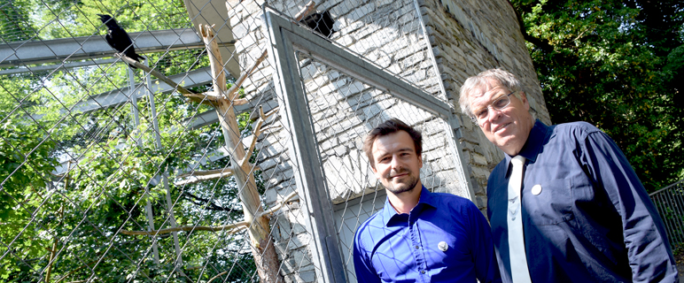 Reinhard Würzner (re.), Sprecher und Koordinator von „CORVOS“ und Marco Grasse (designierter Administrator) bei dem "Marketing-Raben" im Alpenzoo. Foto: MUI/ D. Bullock. Corvos_3-Rabe_news.jpg