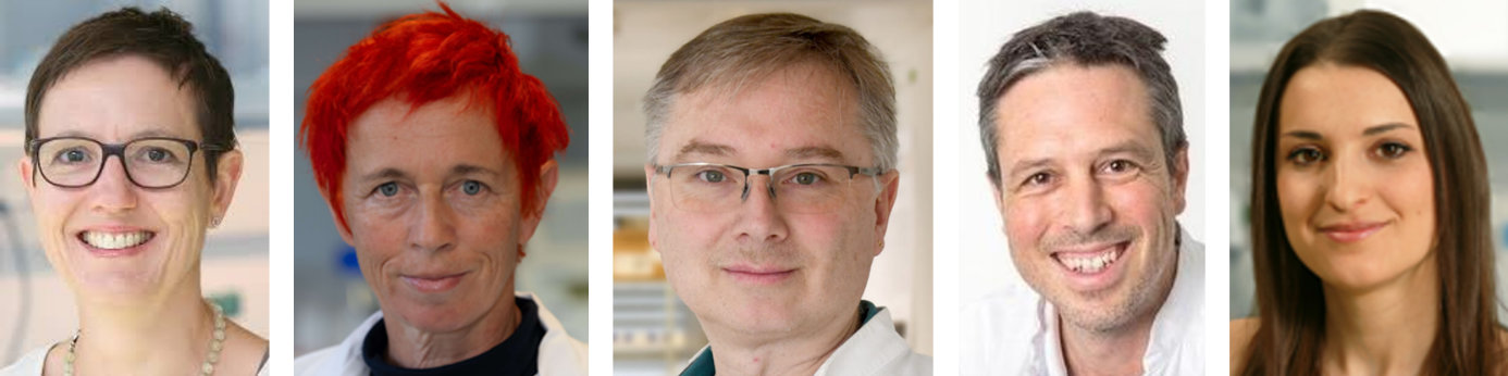 In Innsbruck sind an der Medizinischen Universität Florentine Marx, Doris Wilflingseder (inzwischen an der VetMed), Michael Außerlechner, Christian Ploner und Cristina Schöpf (v.l.) sowie an der LFU Pidder Jansen-Dürr, Maria Cavinato und Ines Martic an der COST Aktion beteiligt.