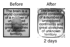 CLARITY_newsprint_thema