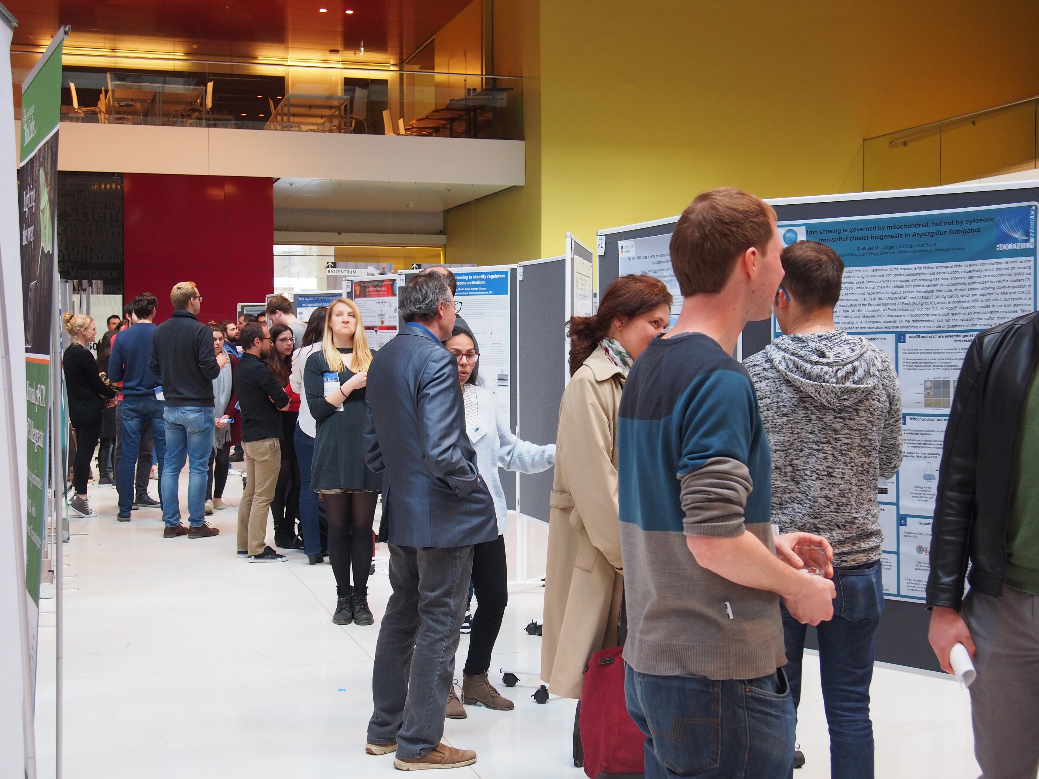 LifeSciencePhDMeetingInnsbruck2018_-(27)